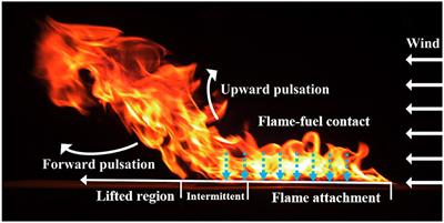 An Experimental Study of Intermittent Heating Frequencies From Wind-Driven Flames